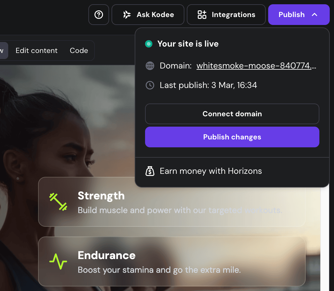 Panel for publishing web app within Hostinger Horizons