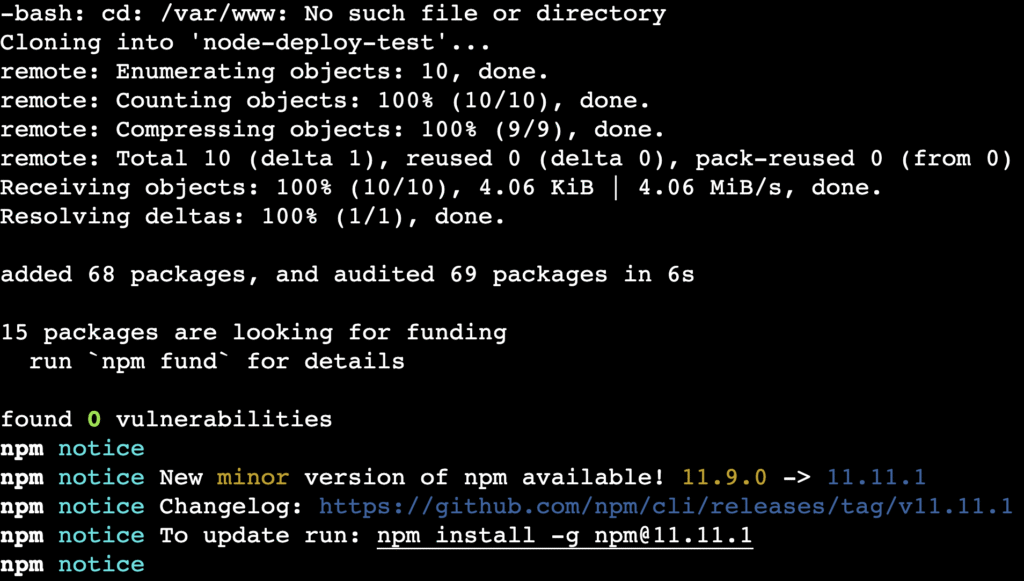 terminal-git-clone-npm-install The git clone and npm install commands' output in the terminal