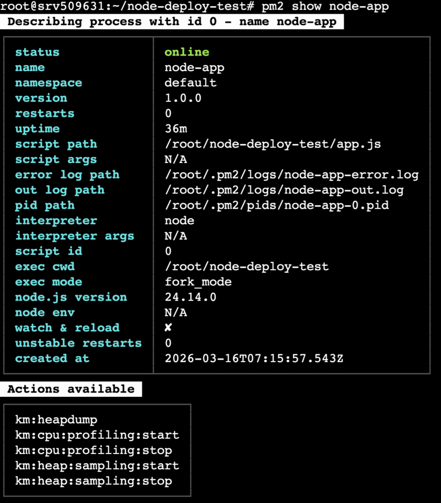 terminal-pm2-show-node-app The pm2 show node-app command's log in the terminal