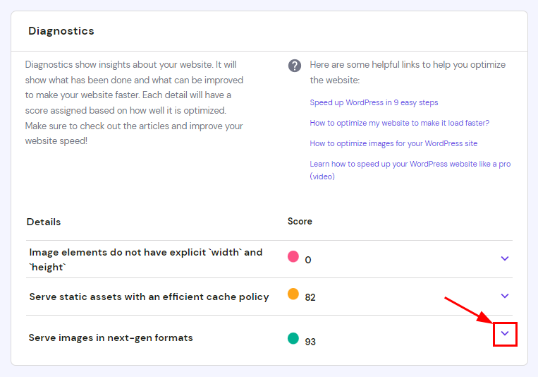 The Diagnostic sections on PageSpeed Insights showing how to get more details about each item
