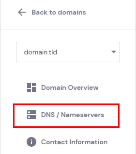 Accessing the domain's DNS zone by opening the tab DNS / Nameservers