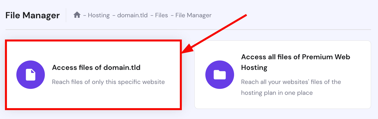Accessing the file manager of a particular website