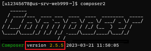 The installed Composer 2 version on your hosting environment
